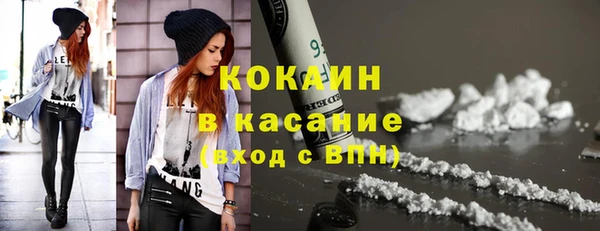 стафф Богданович