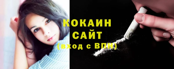 стафф Богданович