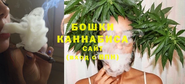 стафф Богданович