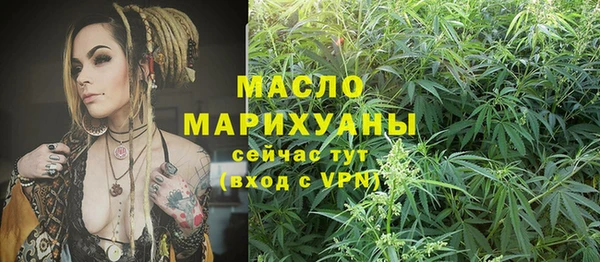 спиды Богородск