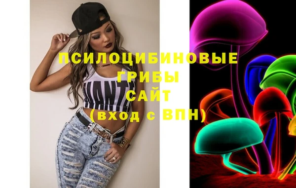 стафф Богданович