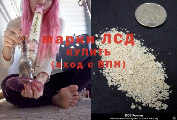 стафф Богданович