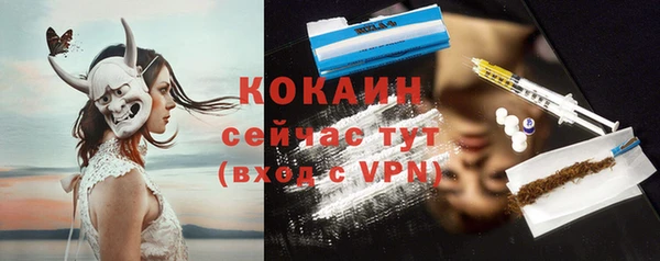 стафф Богданович